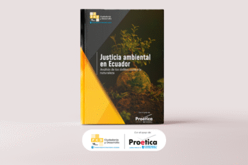 Informe delitos ambientales
